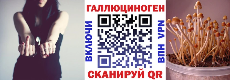 купить  цена  Отрадная  Псилоцибиновые грибы GOLDEN TEACHER 